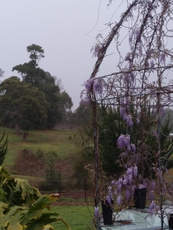 Green Acres B&B Beechmont Luaran gambar